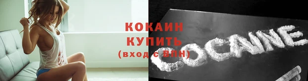 стаф Заволжье