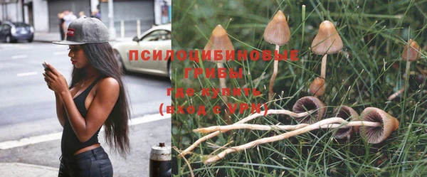 стаф Заволжье