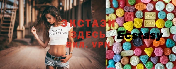 ECSTASY Ельня