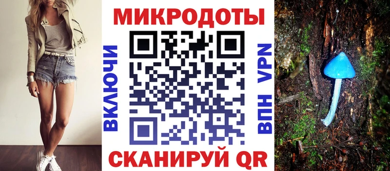 Галлюциногенные грибы Psilocybe  где купить наркотик  Сысерть 